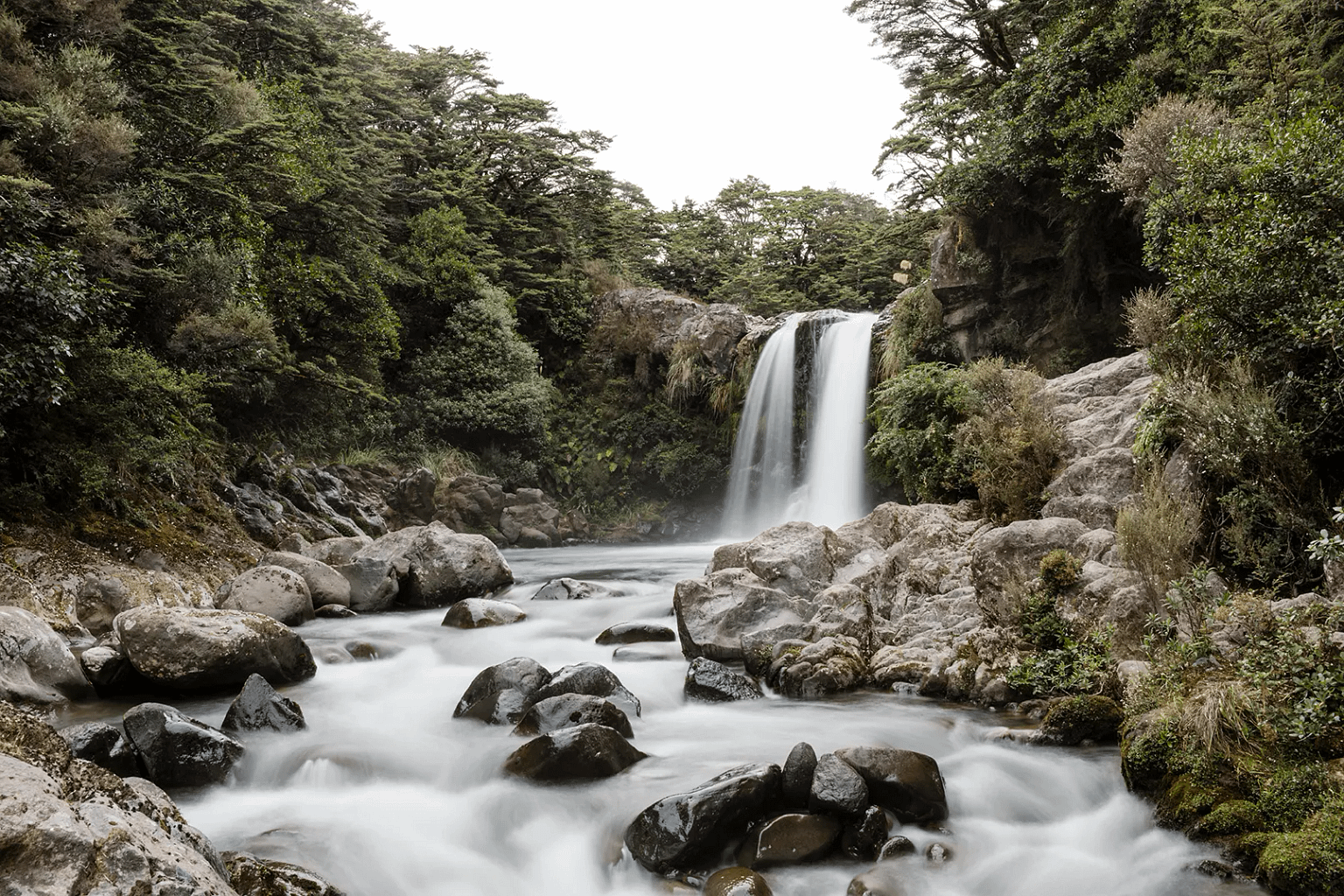 New Zealand wilderness